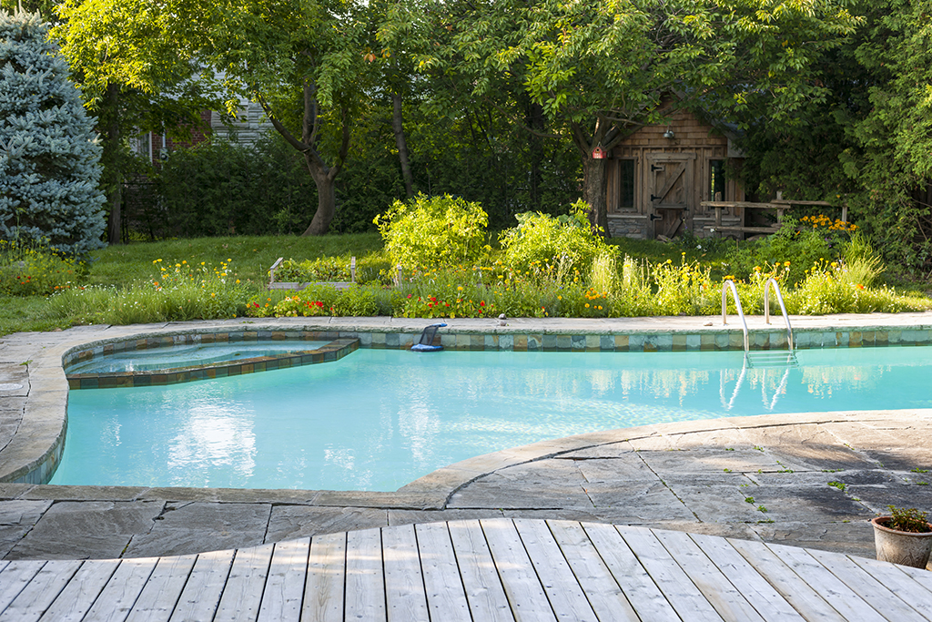 How to Design a Natural Swimming Pool