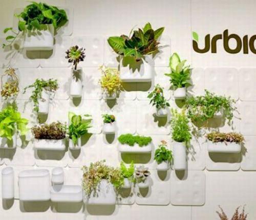Urbio - a garden at home