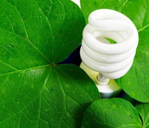 Ecolamp: a green light