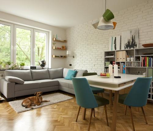small apartment for the lady and her dog